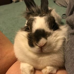 Meet your Posher, Lisa